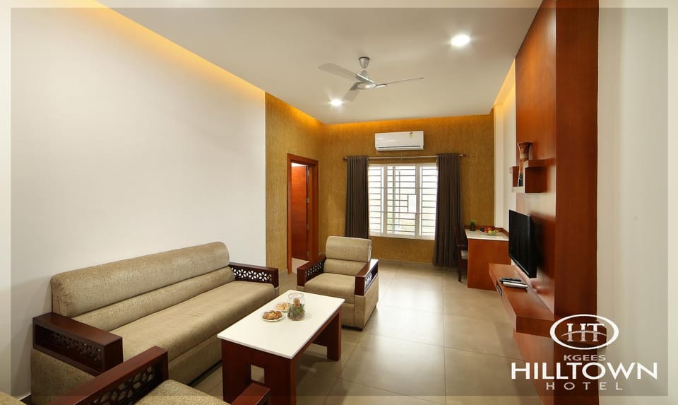 View (from property/room), Living room, Seating area, Guests, Mountain view, VIP, air conditioner