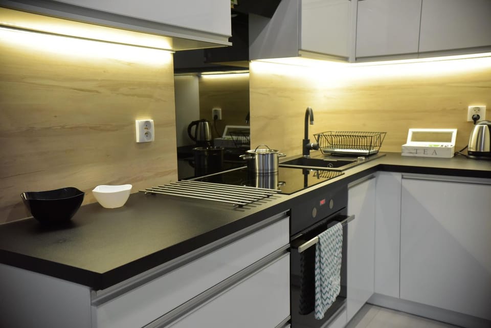 Apartamenty Platan Opieszyn Apartment in Greater Poland Voivodeship