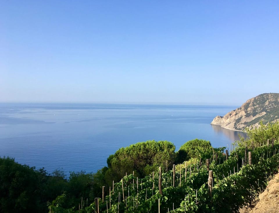 Villa Pietrafiore Farm Stay in Cinque Terre