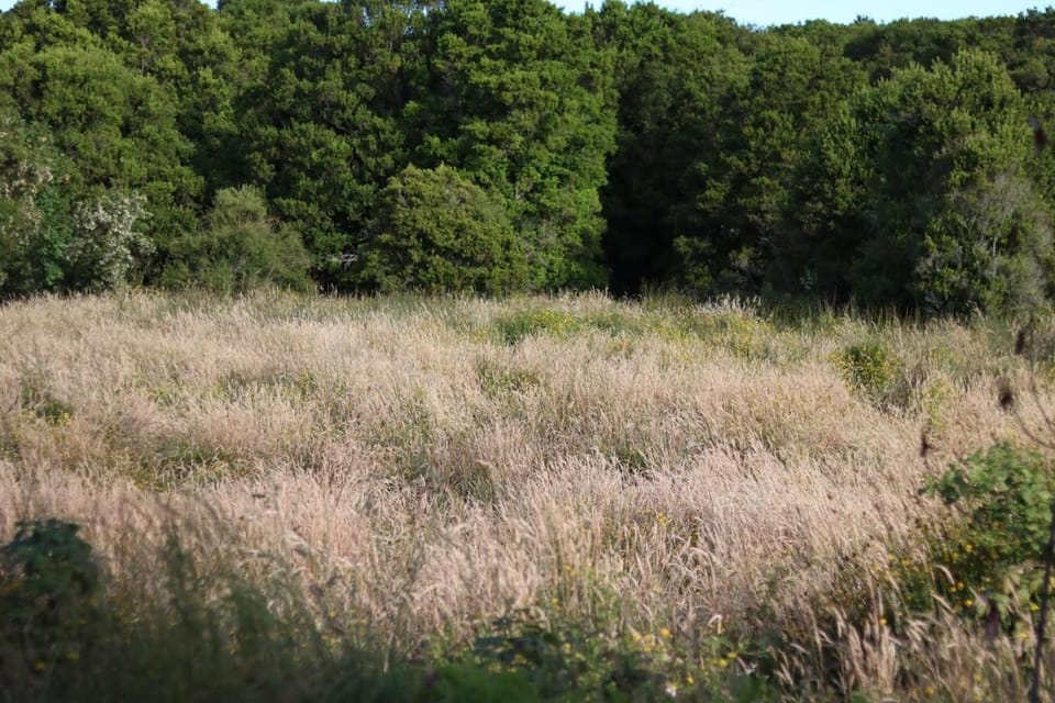Off site, Landmark view