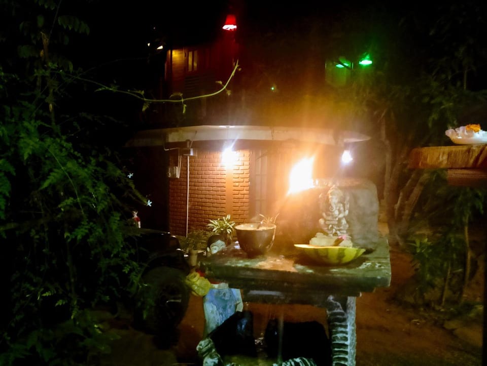 Patio, Night, Garden, Garden view