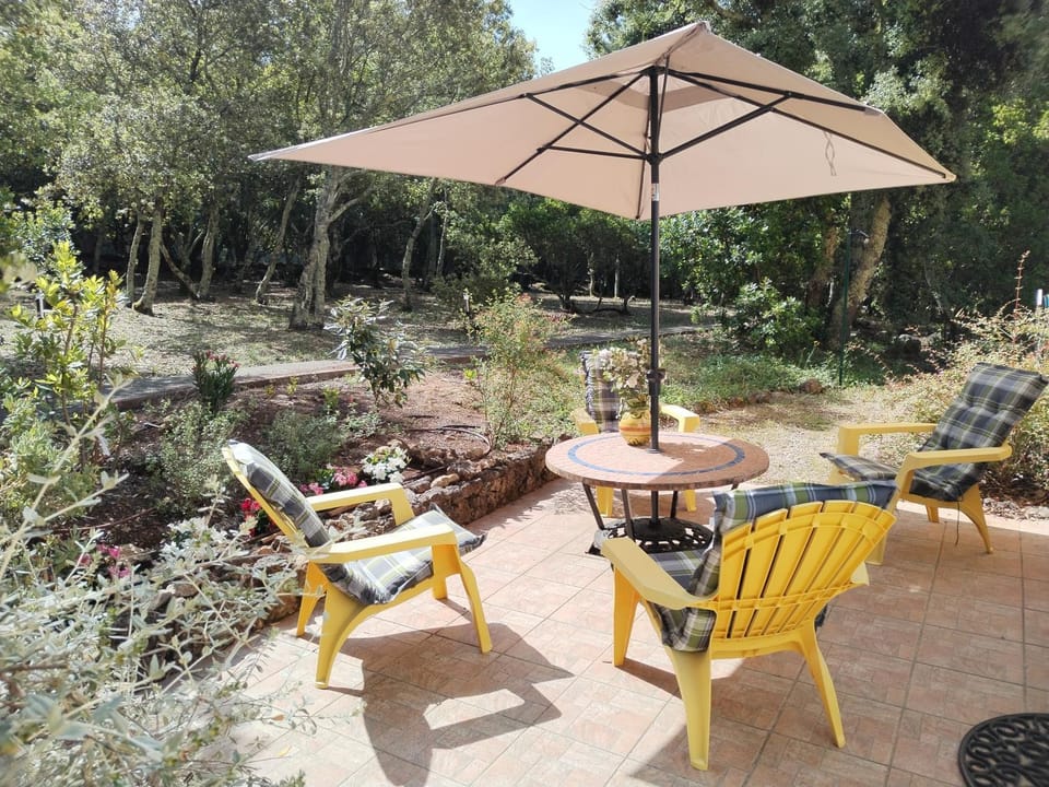 Patio, Living room