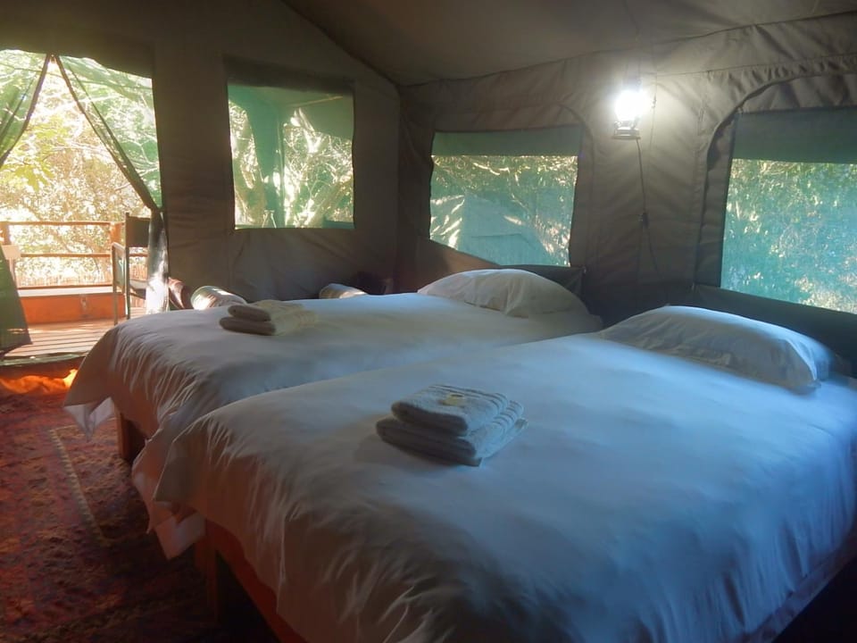 Bed