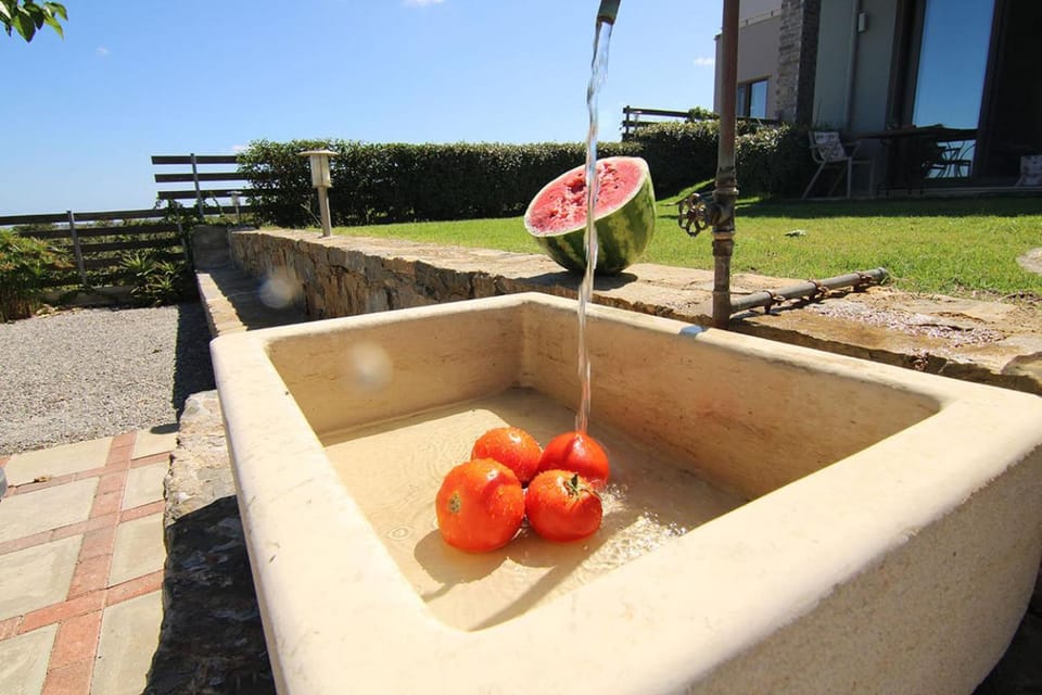 Garden, Breakfast