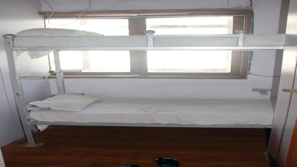 bunk bed