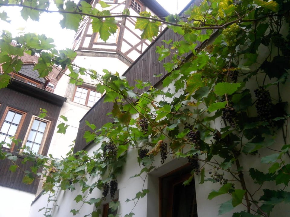 Property building, Patio, Other