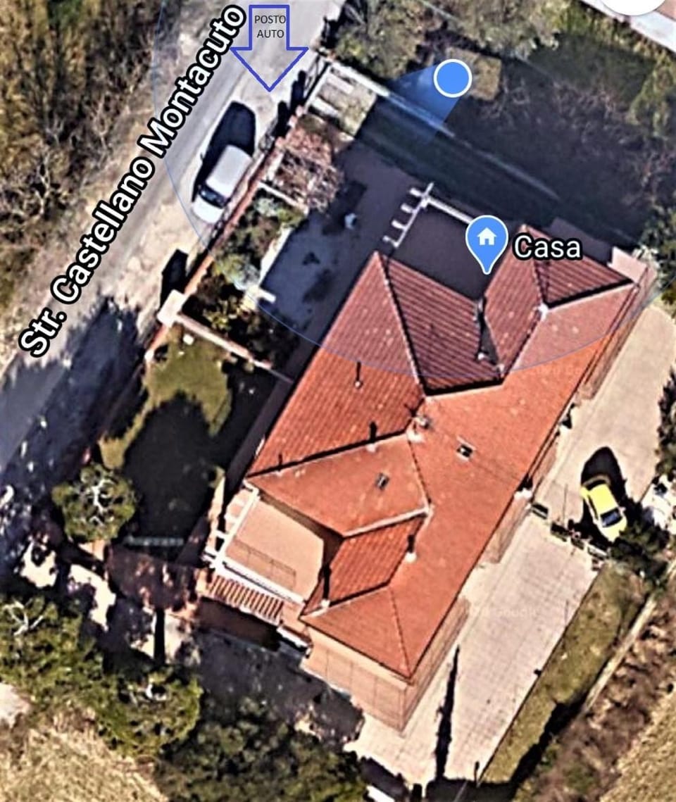 Bird's eye view, Street view