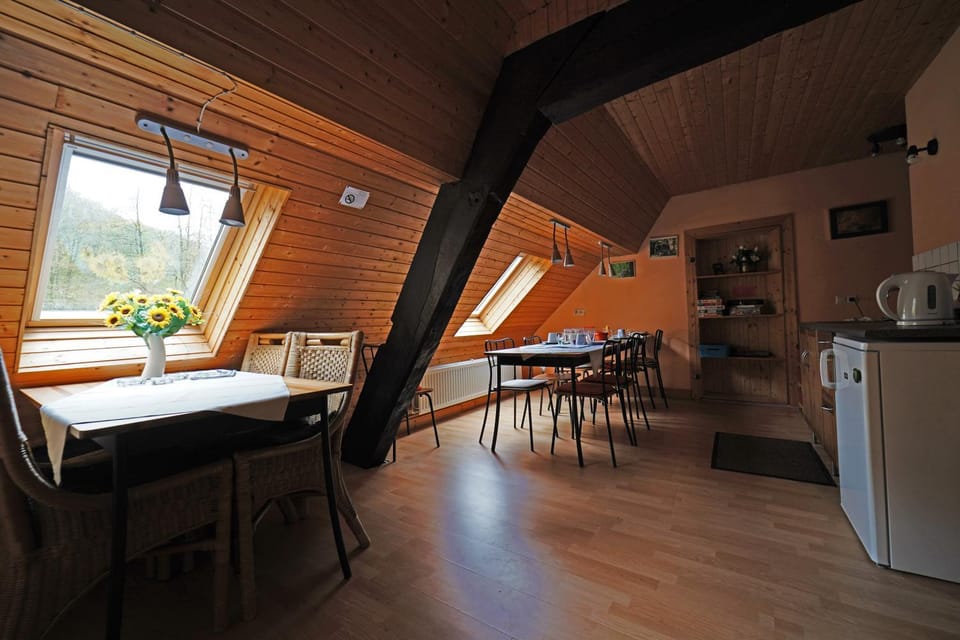 Kitchen or kitchenette, Seating area, Dining area, Evening entertainment, Communal kitchen, Garden view, Garden view, River view, River view