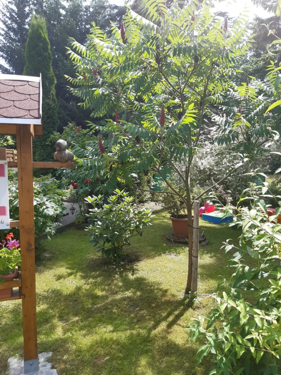 SeidelsFerienparadiesGahlenz Apartment in Saxony