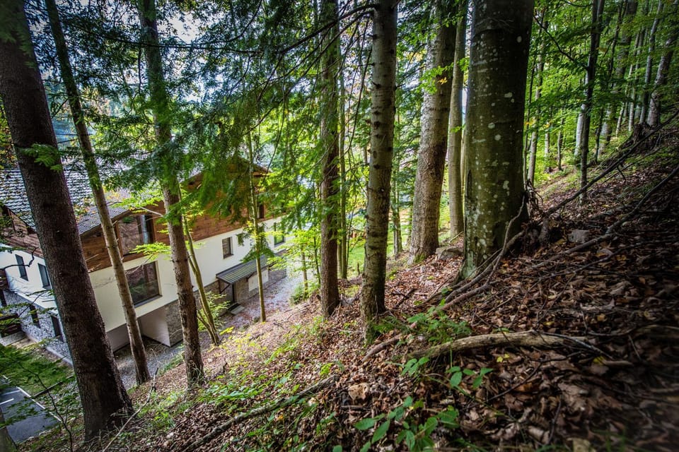 Neighbourhood, Natural landscape, Garden
