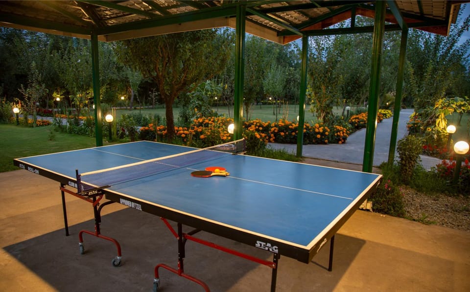 Activities, Activities, Sports