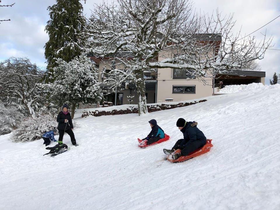 Haagalm Terrasse, Garten Apartment in Trier-Saarburg