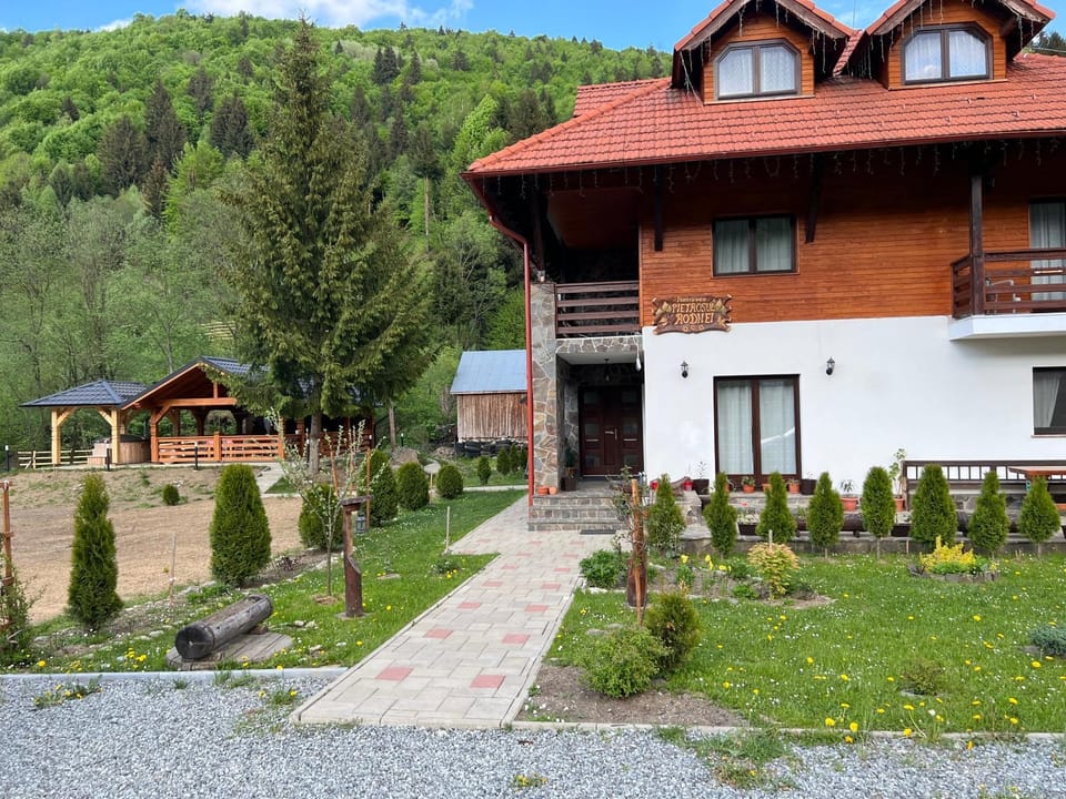 Pensiunea Pietrosul Rodnei Farm Stay in Romania
