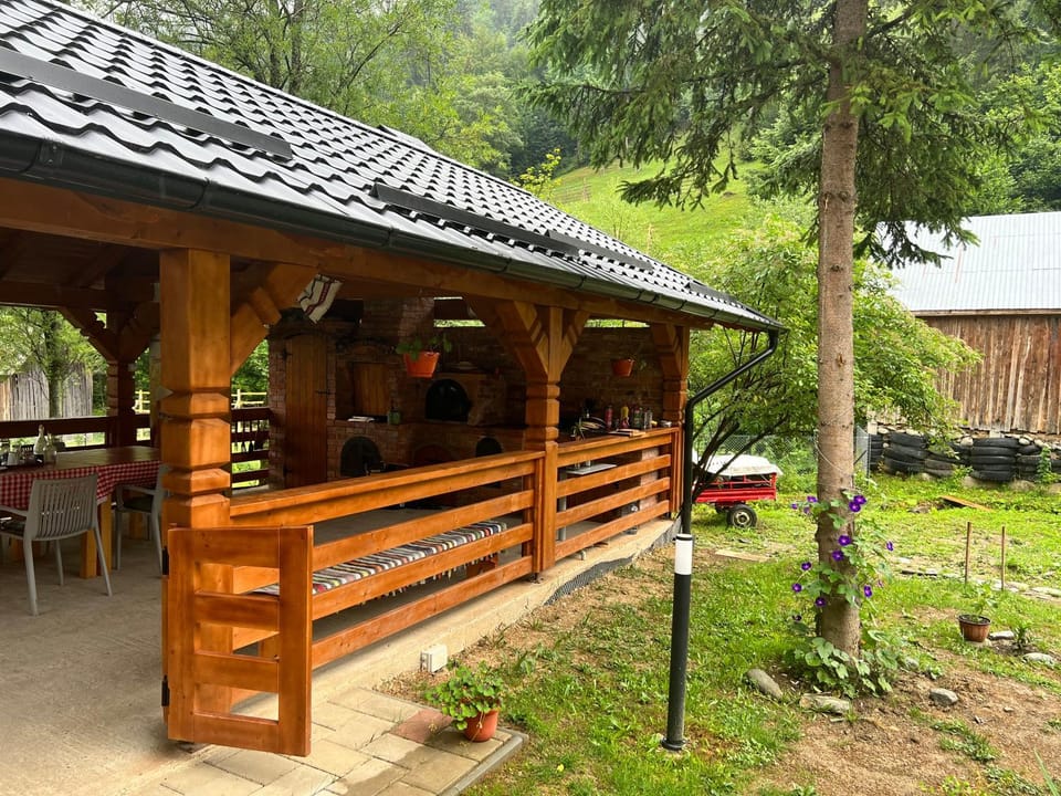 Pensiunea Pietrosul Rodnei Farm Stay in Romania