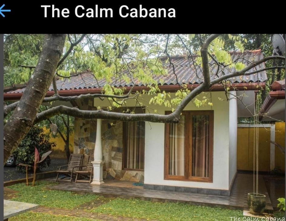 The Calm Cabana Bed and Breakfast in Dambulla