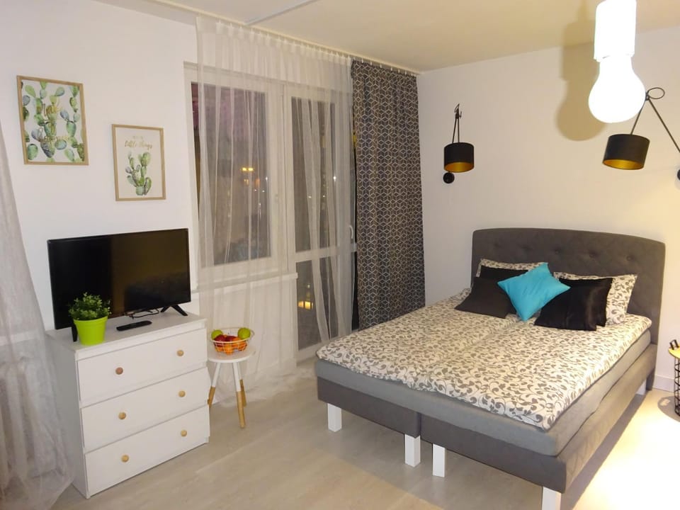 Bed, TV and multimedia