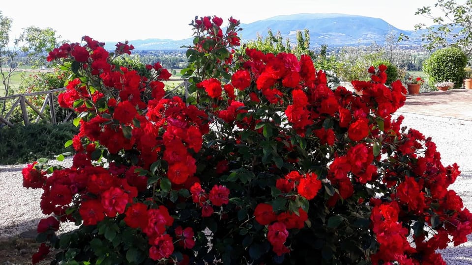 Tenuta Colverano Country House in Umbria
