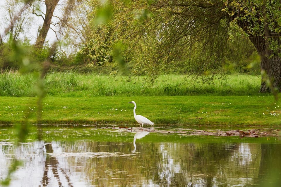 Domaine Les Saules Hôtel Restaurant Spa Hotel in Hauts-de-France
