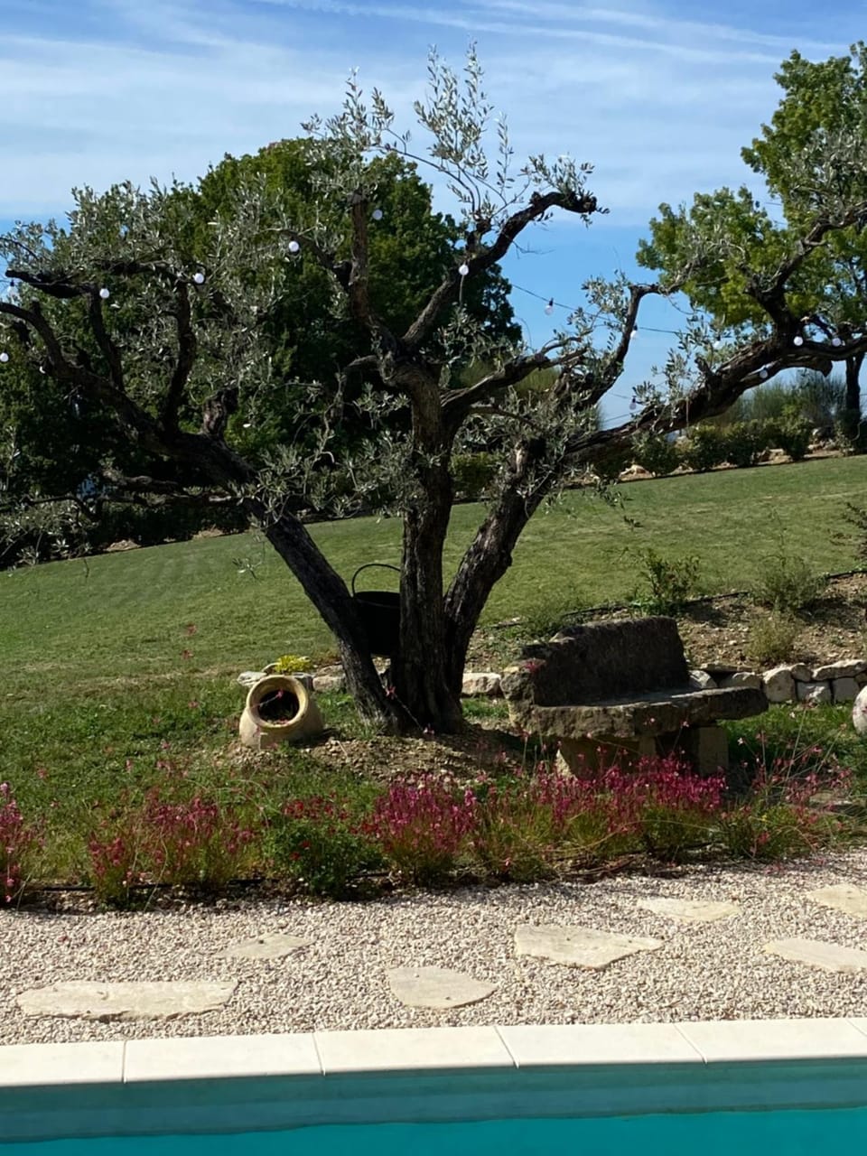 Chambre une fenêtre sur le Ventoux la Clue Inn in Provence-Alpes-Côte d'Azur