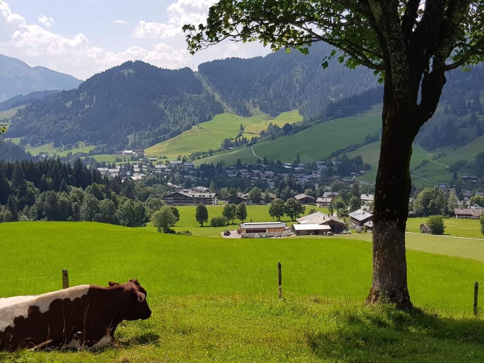Haus Sonnleiten Apartment in Salzburgerland