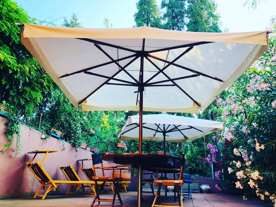 Patio, Summer, Garden, Food, Garden view, Drinks, Alcoholic drinks, Non alcoholic drinks, Sunset