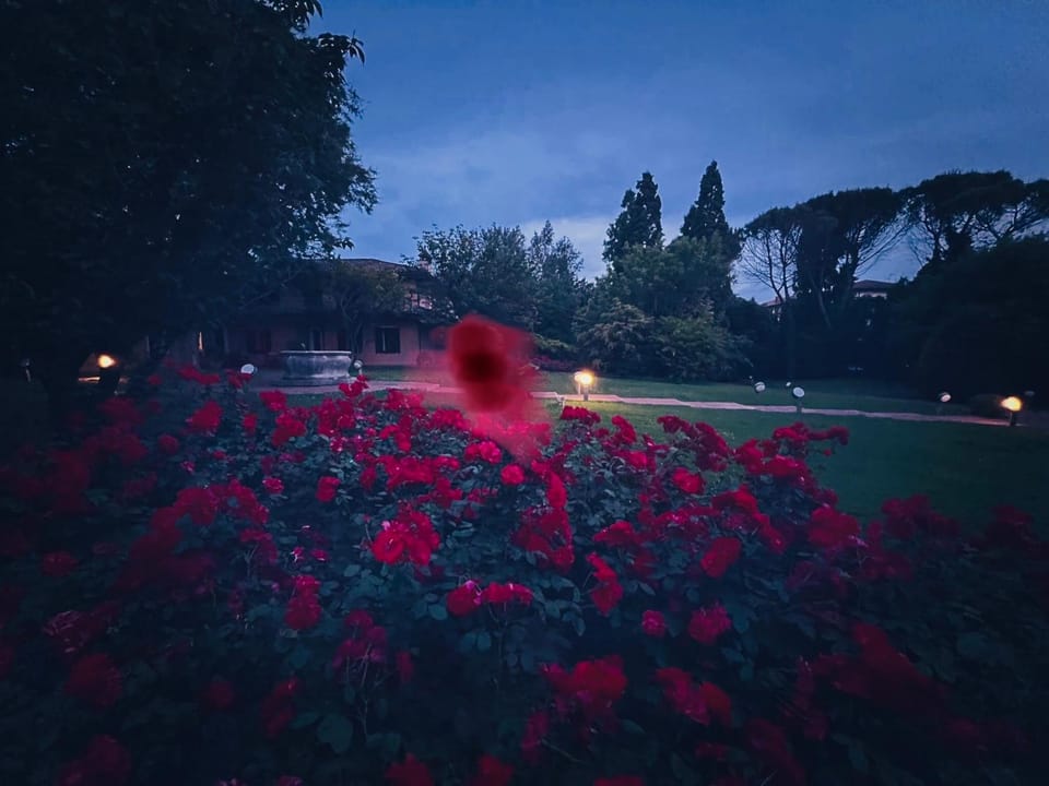 Night, Natural landscape, Garden, Garden, Garden view