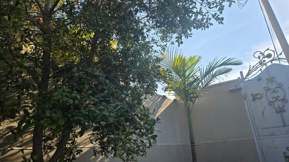 Shahal Apartments Apartment in South District