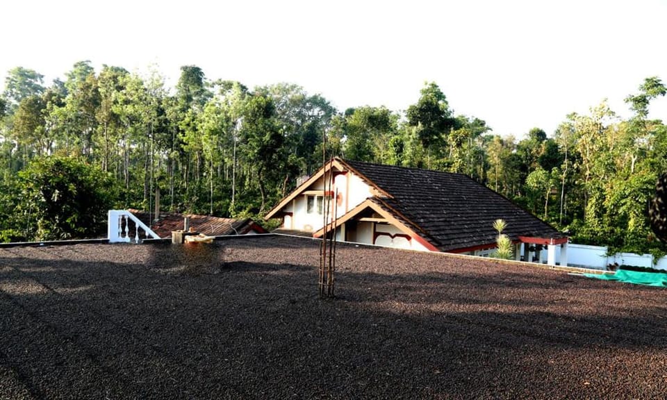 Coffee Native - A Family Homestay Vacation rental in Karnataka