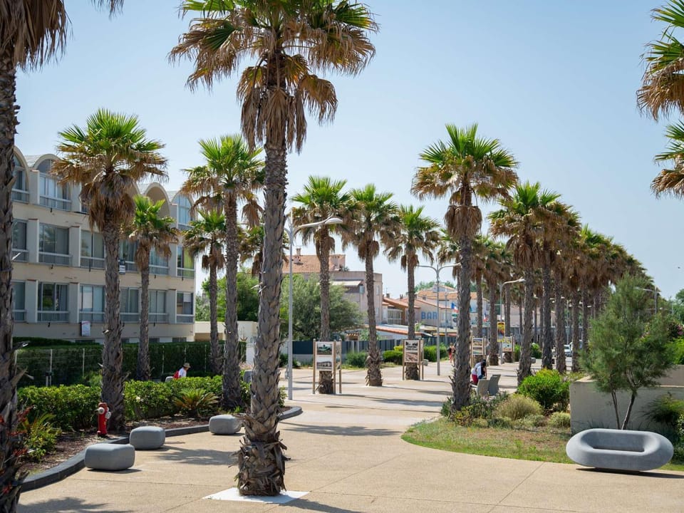 Appartement en Rez-de-Jardin Proche Plage avec Terrasse et Confort Moderne - FR-1-387-54 Apartment in Marseillan