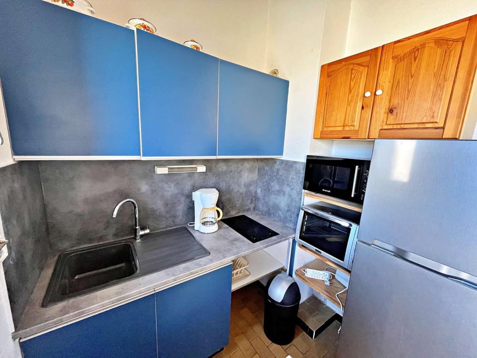 Appartement 4 pers avec vue mer proche plage, animaux et parking inclus - FR-1-387-85 Apartment in Marseillan