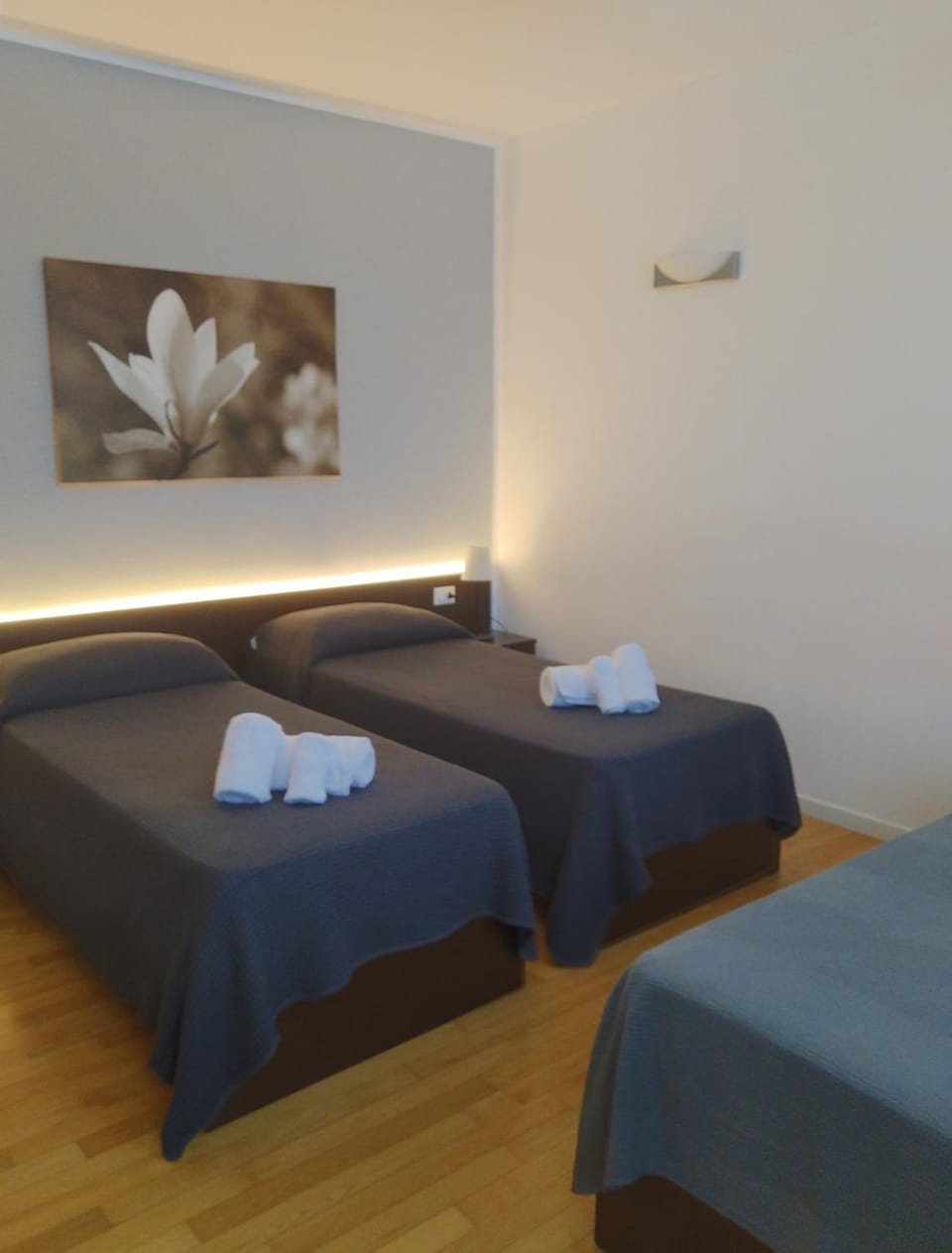 Magnolia Room & Breakfast Bed and Breakfast in Faenza