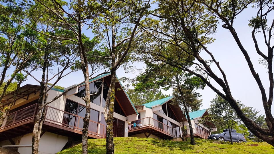 Green Forest Rustic Houses House in Monteverde