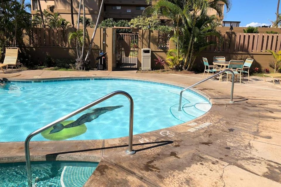 Maui Kai 507 & 508 Apartment in Kaanapali