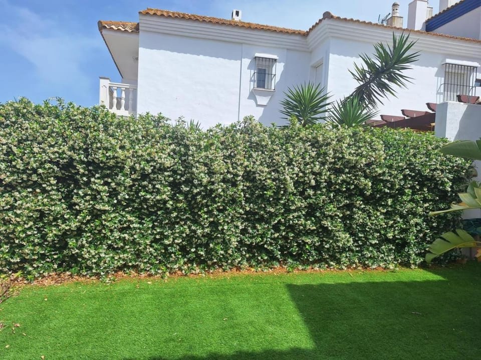 Adosados La Tahona House in La Janda