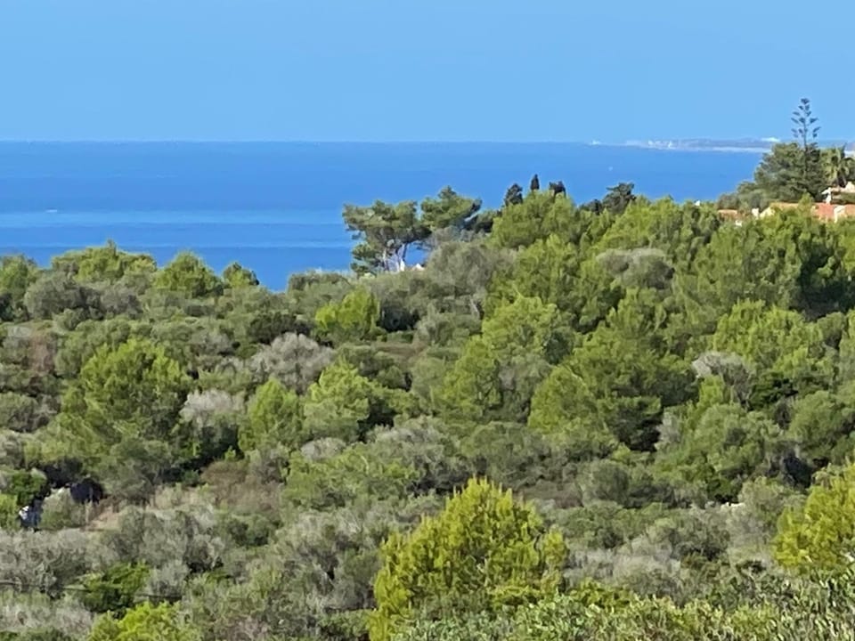 View (from property/room)