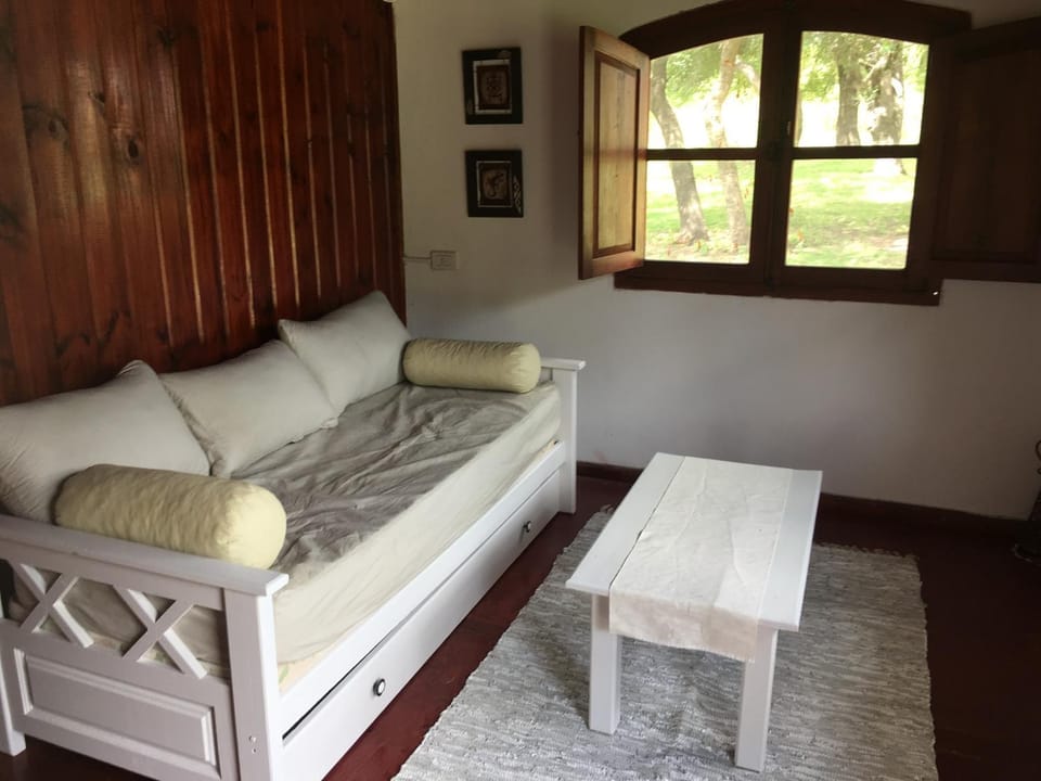Bed, Living room