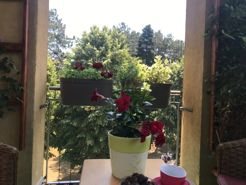Spring, Day, View (from property/room), Balcony/Terrace, Balcony/Terrace, Internal: Not applicable to any particular room