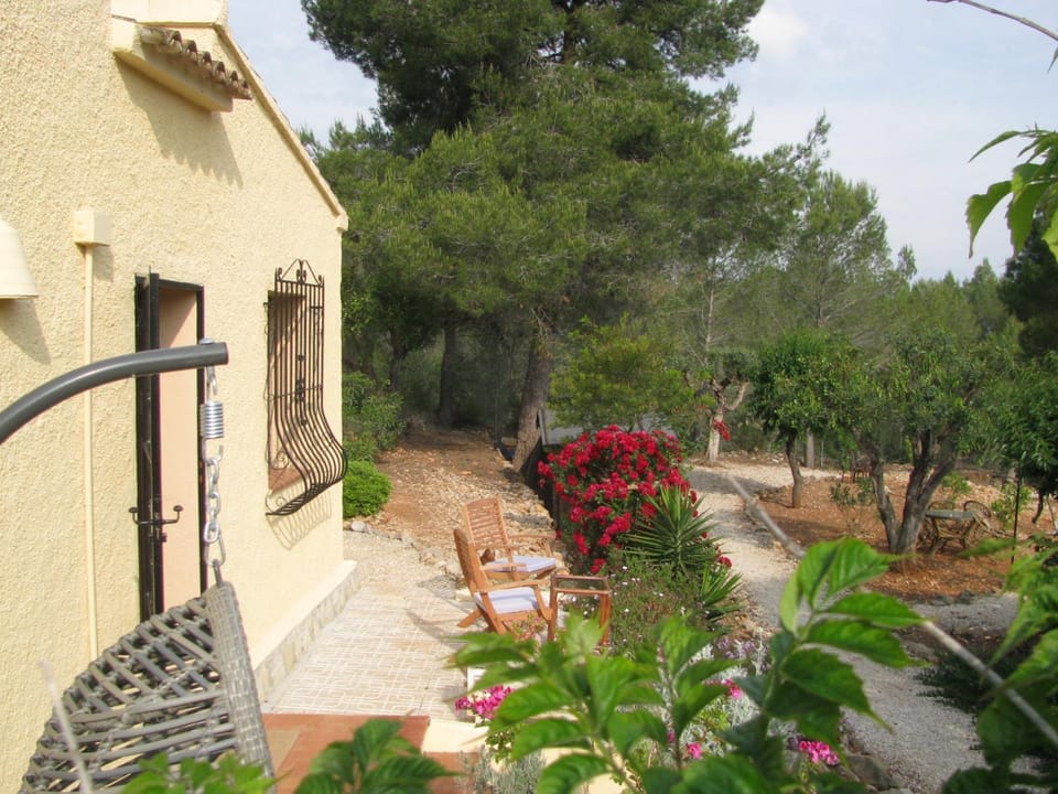 Garden view