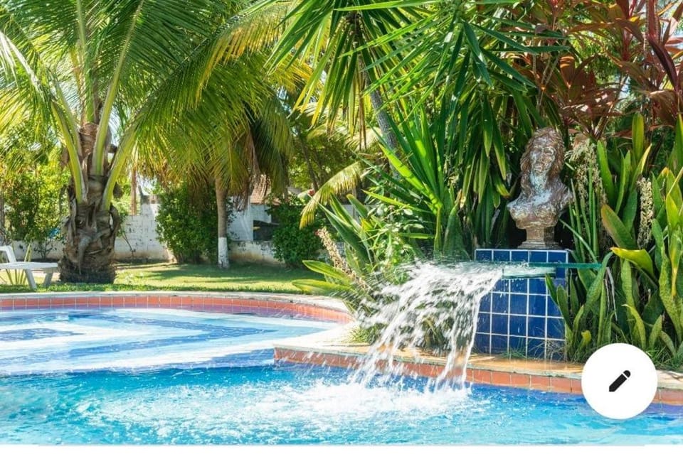 Spring, Day, Garden, Garden view, Pool view, Swimming pool