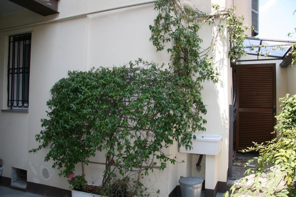 Patio, Facade/entrance