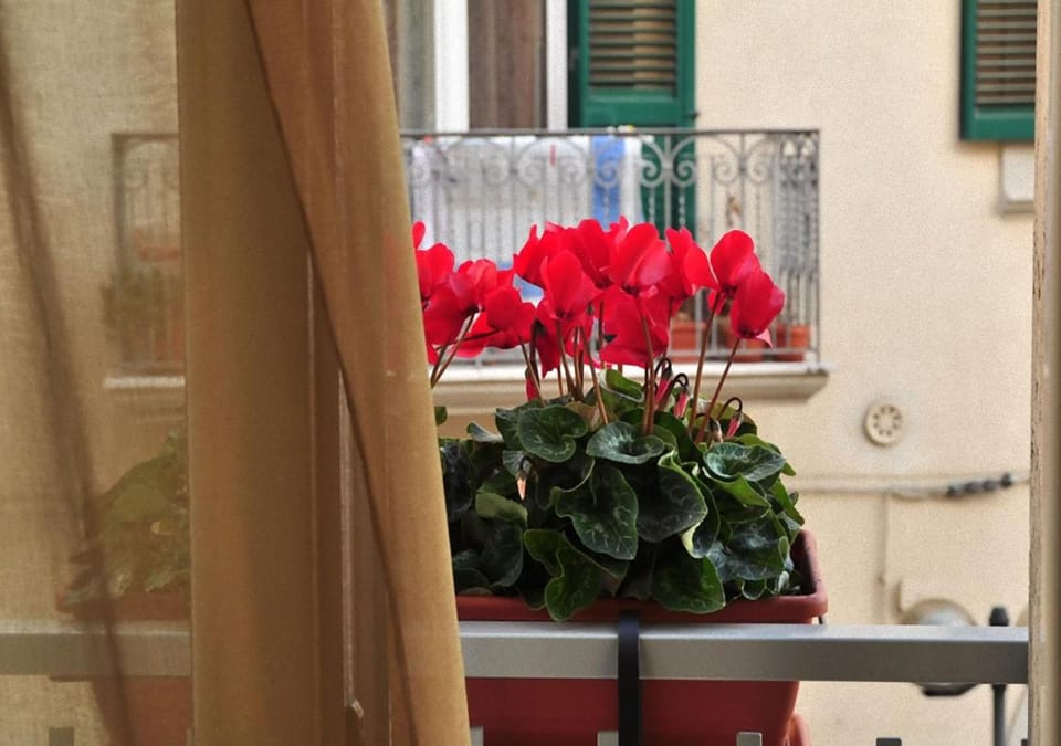 Donna Eleonora Residence Bed and Breakfast in Matera