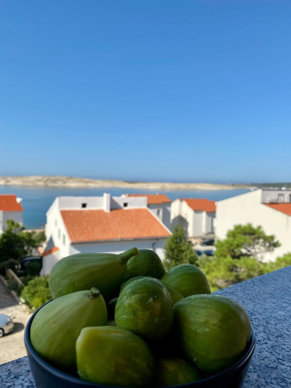 Natural landscape, Food and drinks, Food, Sea view