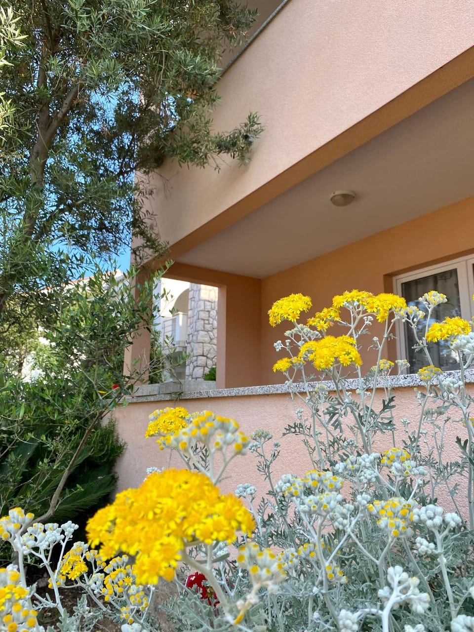 Spring, Garden, Balcony/Terrace