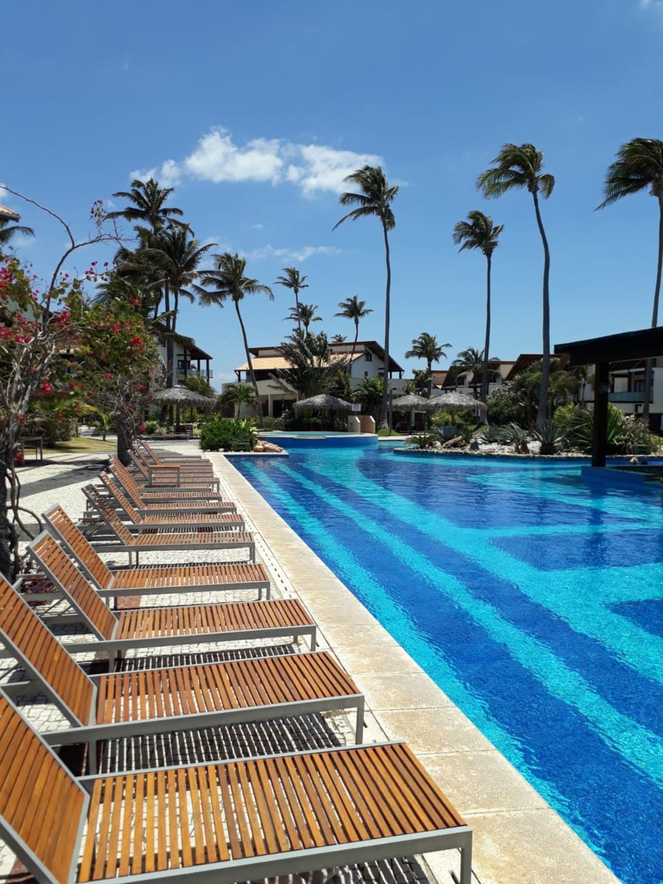 Pool view, Swimming pool