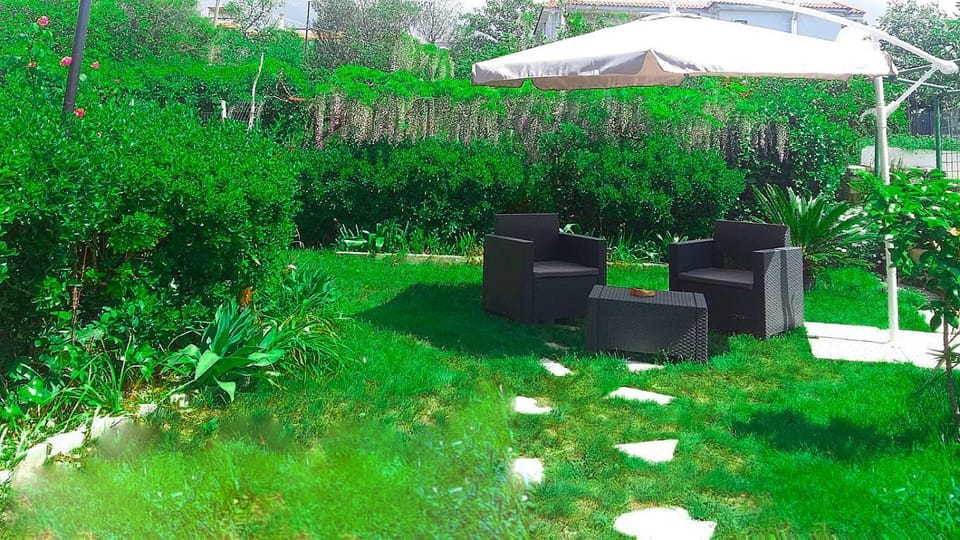 Spring, Garden