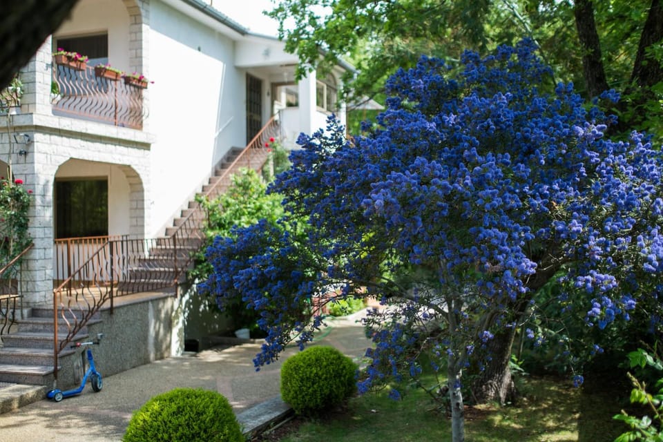 Facade/entrance, Garden, Garden view