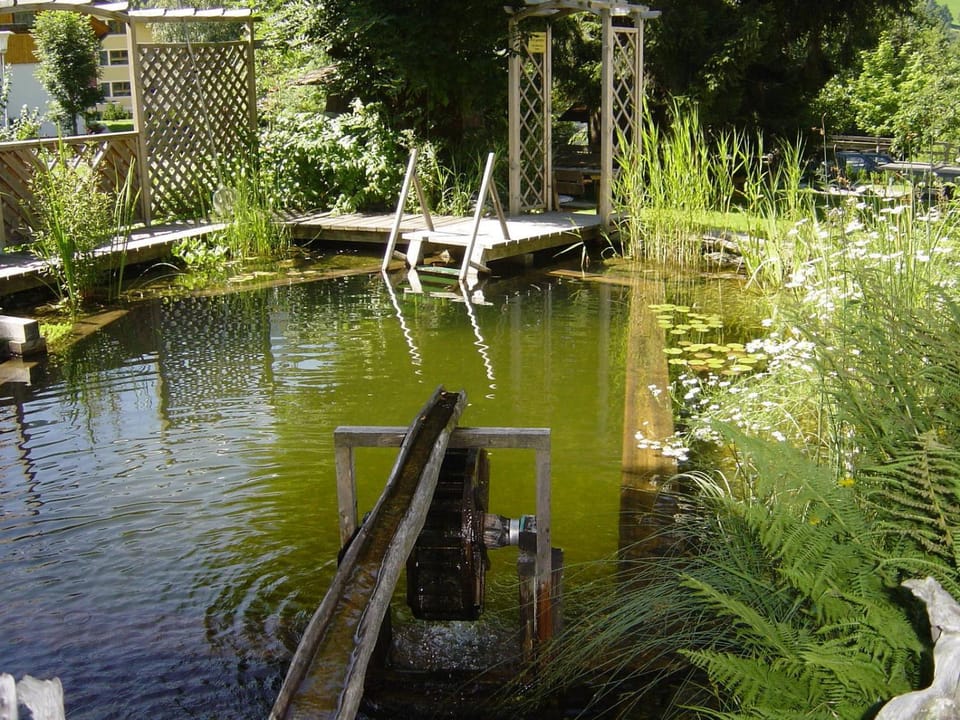 Activities, Summer, Garden, On site, Garden view, Mountain view, Area and facilities, Sports, young children, older children, Open Air Bath, Family