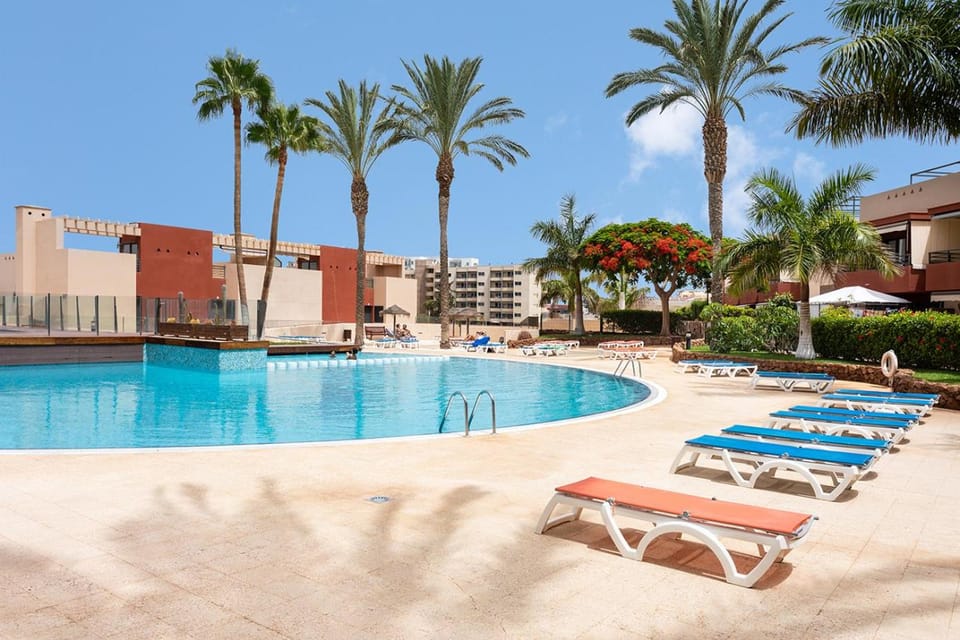 Garden, Swimming pool