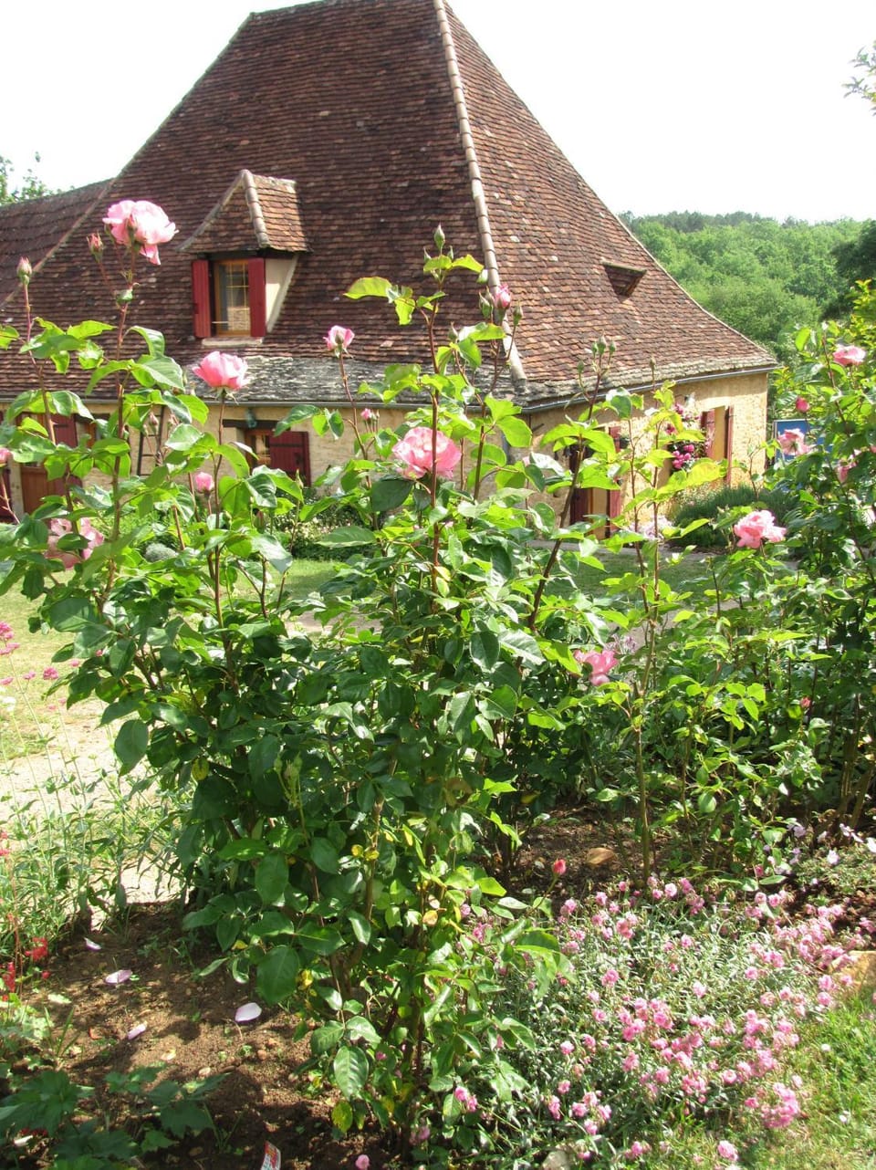 Garden view