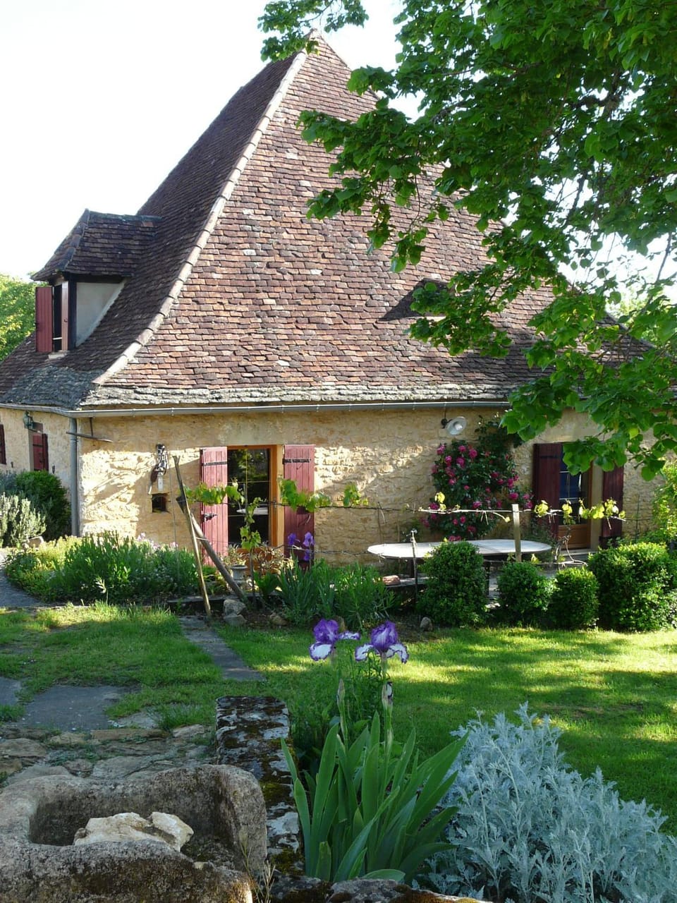 Patio, Garden